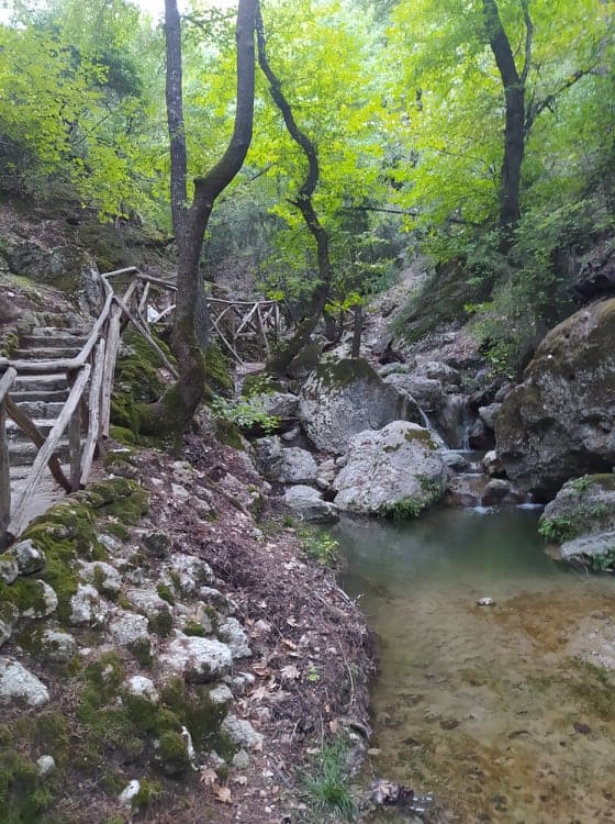 Petaloudes ,Rhodes Island, activities, things to do in rhodes